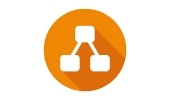 41